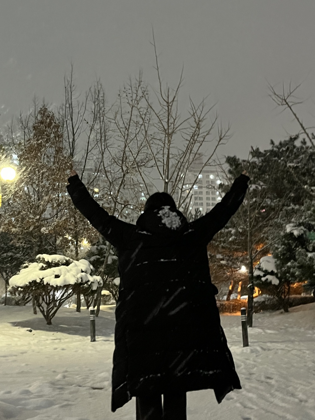 개발자 프로필 이미지